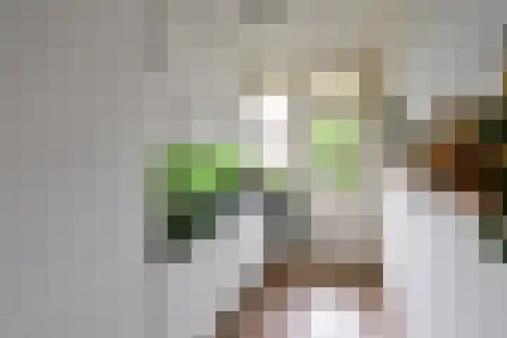 Aagje Dekenlaan 30 Bussum thumbnail 9
