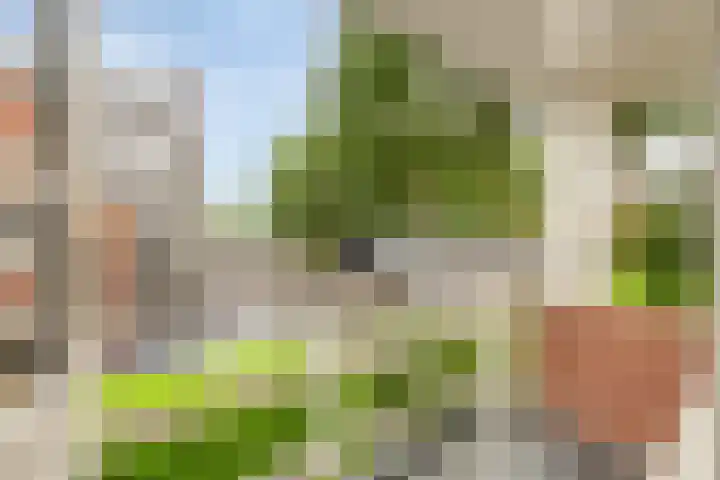 Aagje Dekenlaan 31 Soest thumbnail 23
