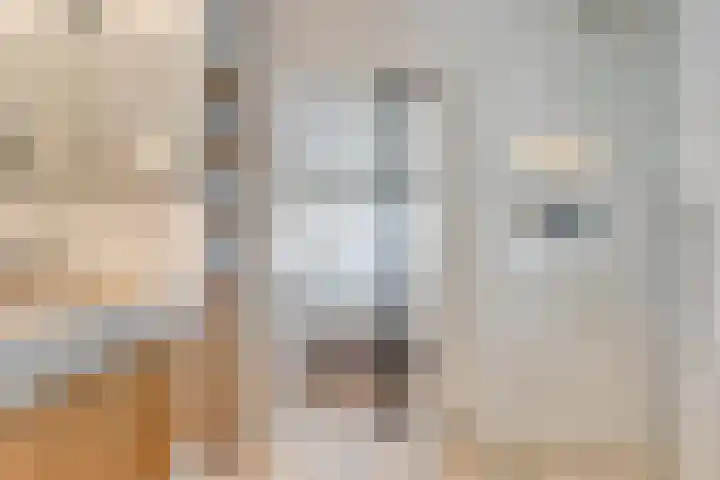 Aagje Dekenlaan 31 Soest thumbnail 27