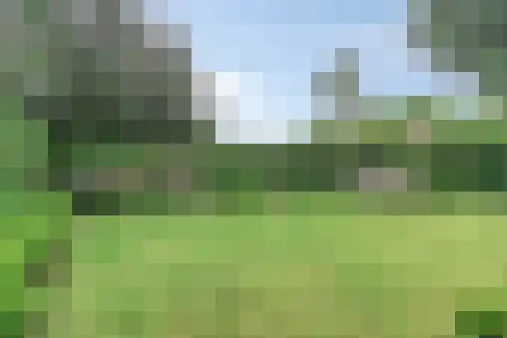 Aagje Dekenlaan 31 Soest thumbnail 44