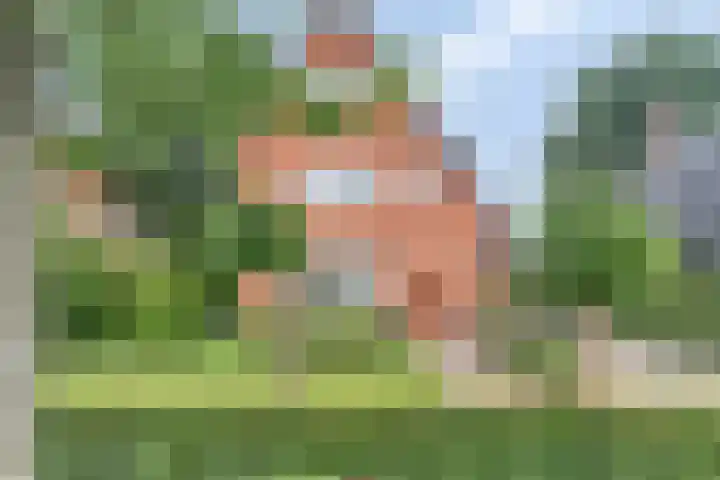 Aagje Dekenlaan 31 Soest thumbnail 46