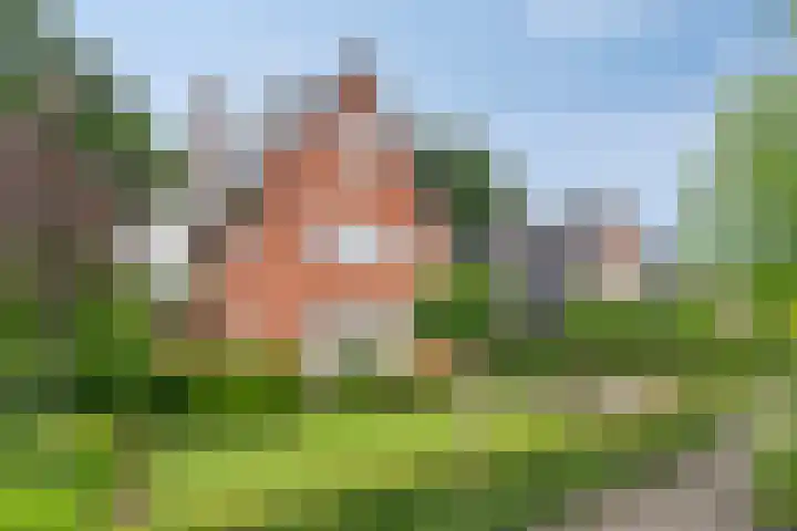 Aagje Dekenlaan 31 Soest thumbnail 48