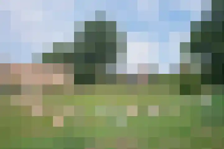 Aagje Dekenlaan 31 Soest thumbnail 50