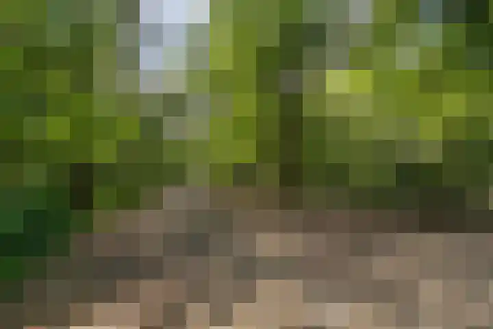 Aagje Dekenlaan 31 Soest thumbnail 51