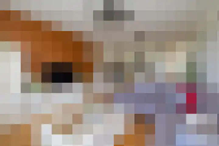 Aagje Dekenlaan 33 Bussum thumbnail 10