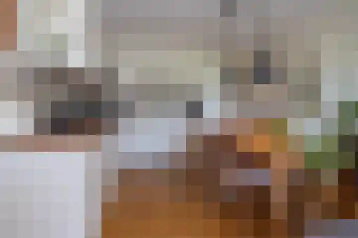 Aagje Dekenlaan 33 Bussum thumbnail 11