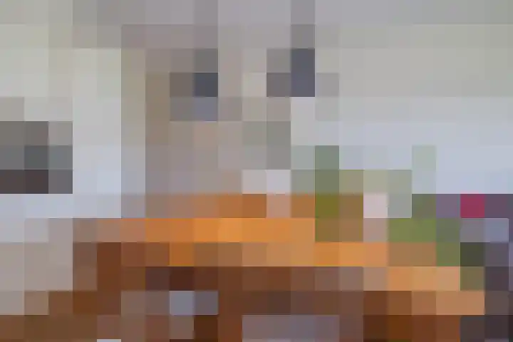 Aagje Dekenlaan 33 Bussum thumbnail 12