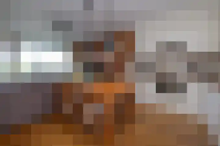 Aagje Dekenlaan 33 Bussum thumbnail 13