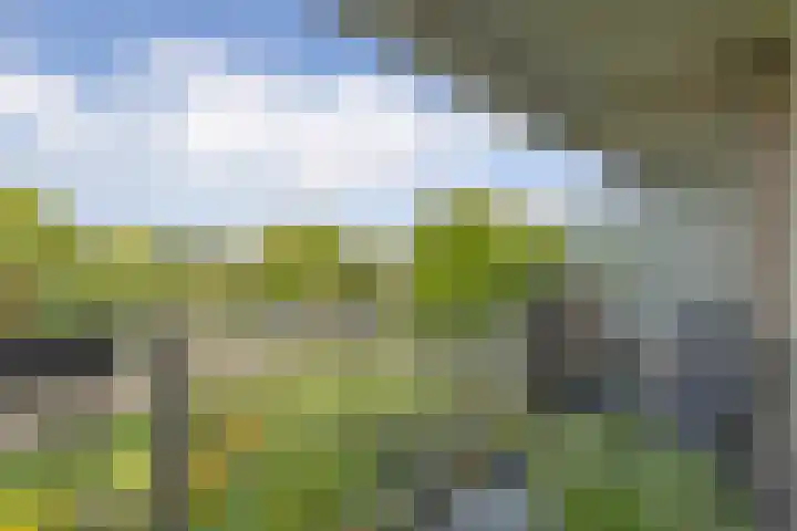 Aagje Dekenlaan 33 Bussum thumbnail 16