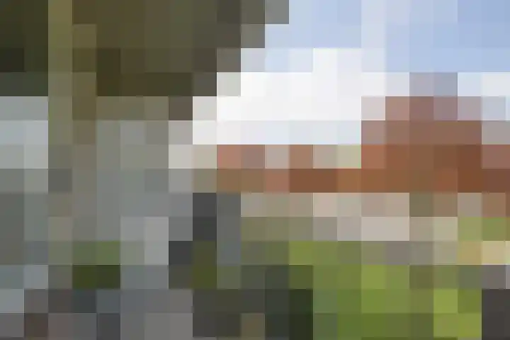 Aagje Dekenlaan 33 Bussum thumbnail 17