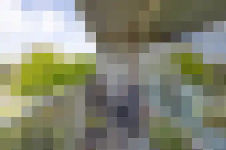 Aagje Dekenlaan 33 Bussum thumbnail 18