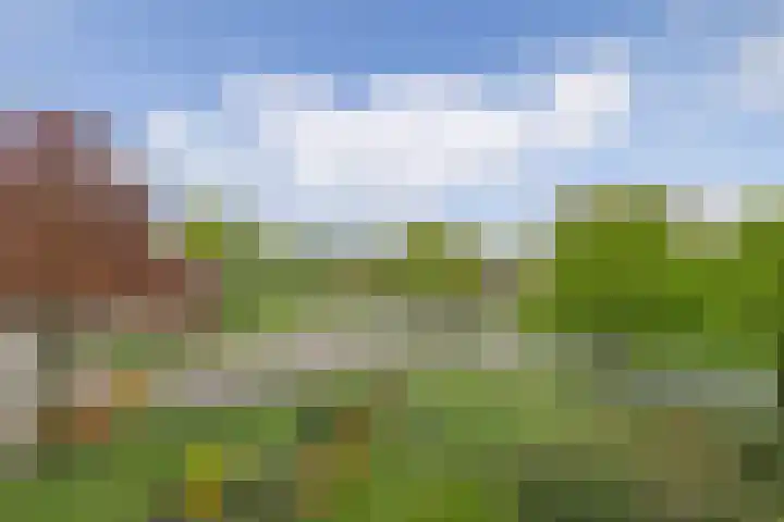 Aagje Dekenlaan 33 Bussum thumbnail 19