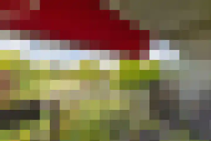 Aagje Dekenlaan 33 Bussum thumbnail 20