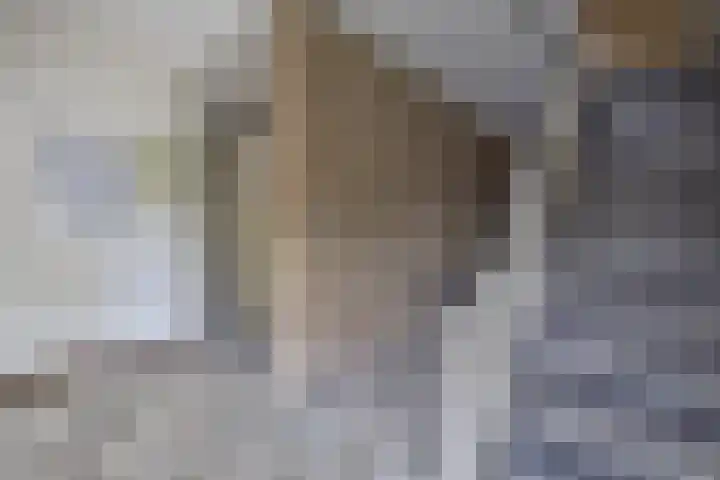 Aagje Dekenlaan 33 Bussum thumbnail 5