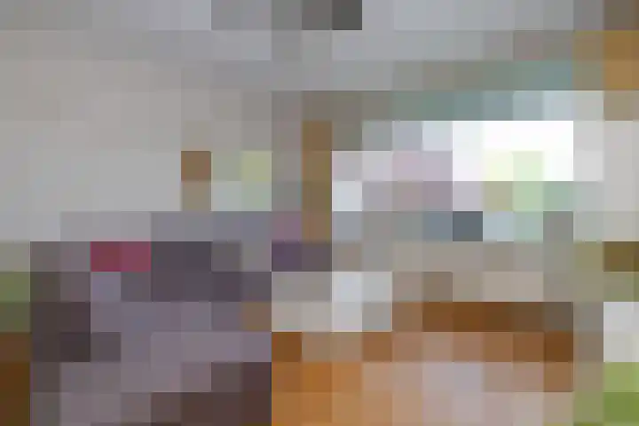 Aagje Dekenlaan 33 Bussum thumbnail 7
