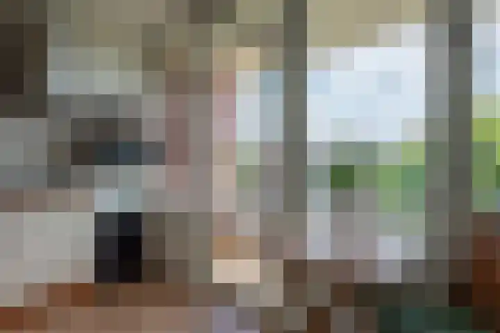 Aagje Dekenlaan 34 Bussum thumbnail 12