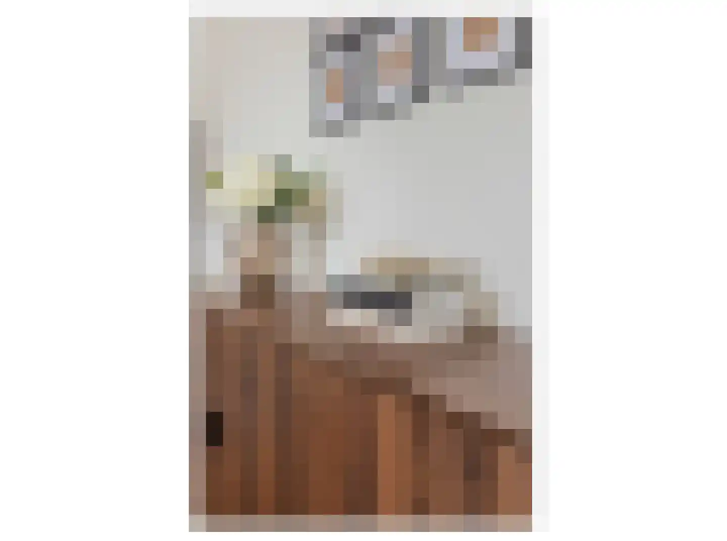 Aagje Dekenlaan 34 Bussum thumbnail 12