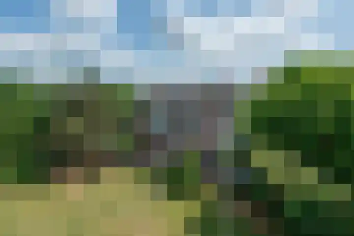 Aagje Dekenlaan 34 Bussum thumbnail 14