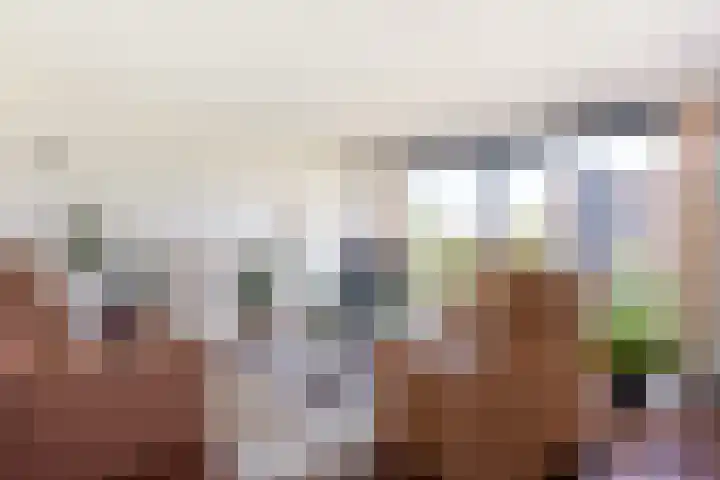 Aagje Dekenlaan 47 Q Den Haag thumbnail 10