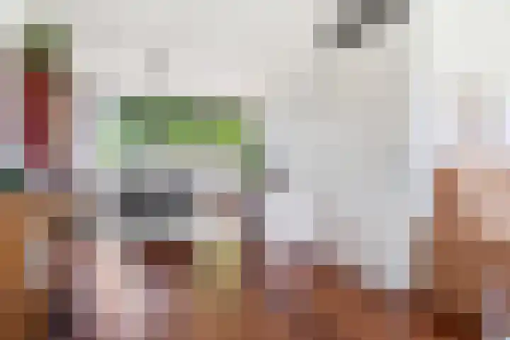 Aagje Dekenlaan 47 Q Den Haag thumbnail 13