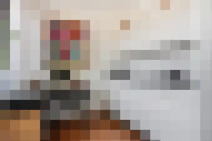 Aagje Dekenlaan 47 Q Den Haag thumbnail 14