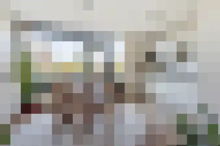 Aagje Dekenlaan 47 Q Den Haag foto 2