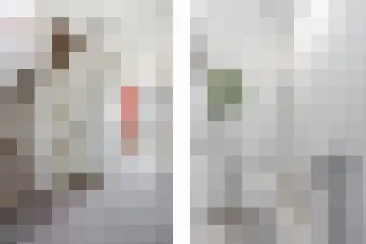 Aagje Dekenlaan 47 Q Den Haag thumbnail 22