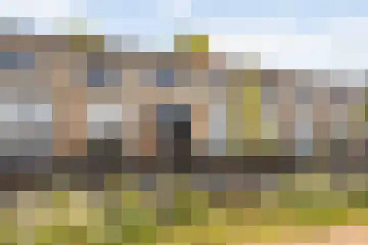 Aagje Dekenlaan 47 Q Den Haag thumbnail 26