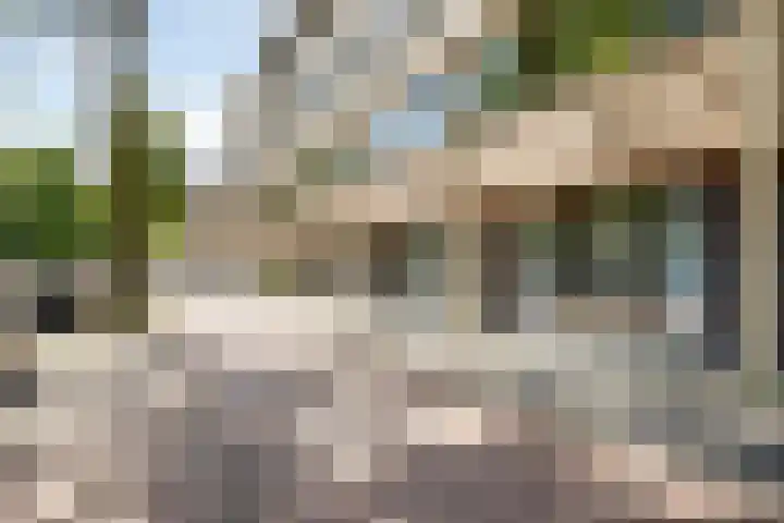 Aagje Dekenlaan 47 Q Den Haag thumbnail 27