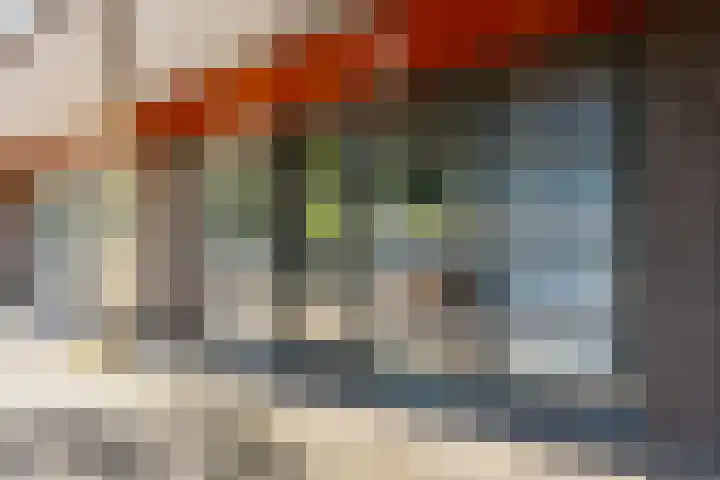 Aagje Dekenlaan 47 Q Den Haag thumbnail 28
