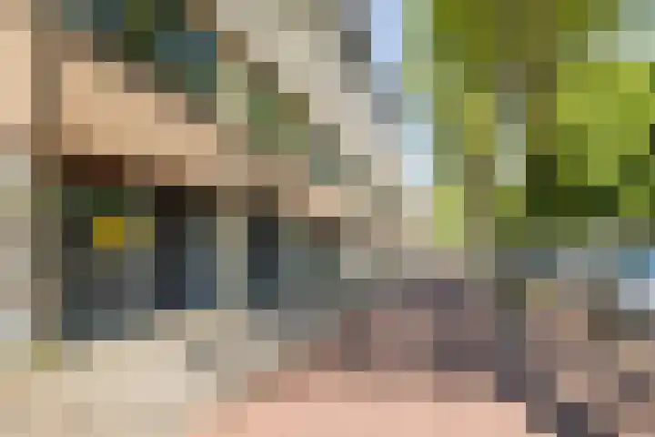 Aagje Dekenlaan 47 Q Den Haag thumbnail 29
