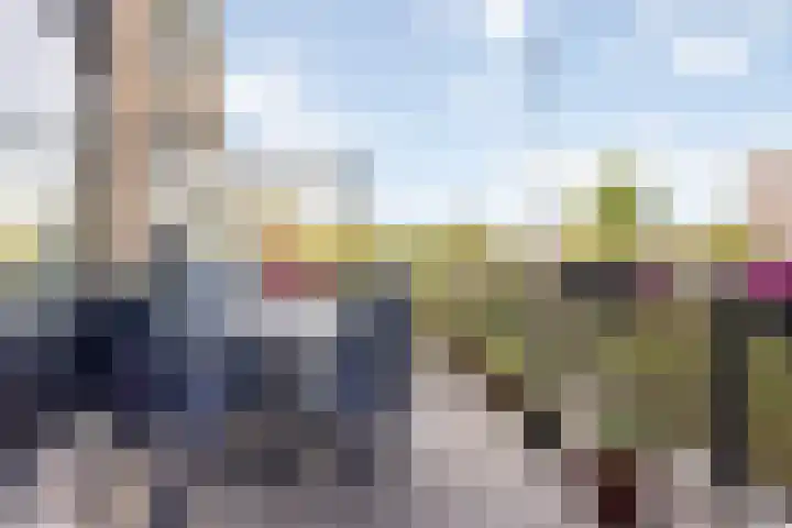 Aagje Dekenlaan 47 Q Den Haag thumbnail 5