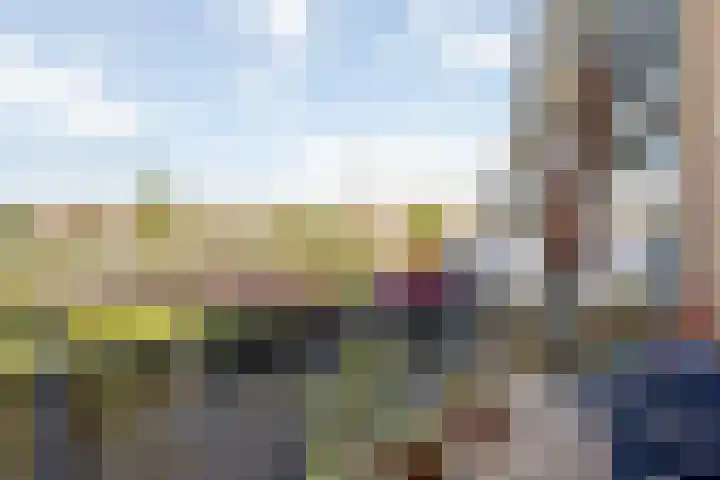 Aagje Dekenlaan 47 Q Den Haag thumbnail 6