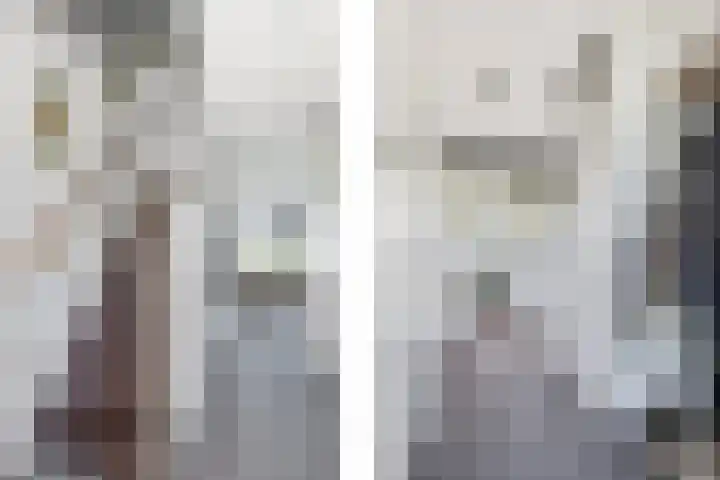 Aagje Dekenlaan 47 Q Den Haag thumbnail 7
