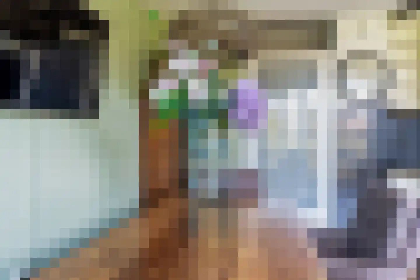 Aagje Dekenlaan 49 M Den Haag thumbnail 16