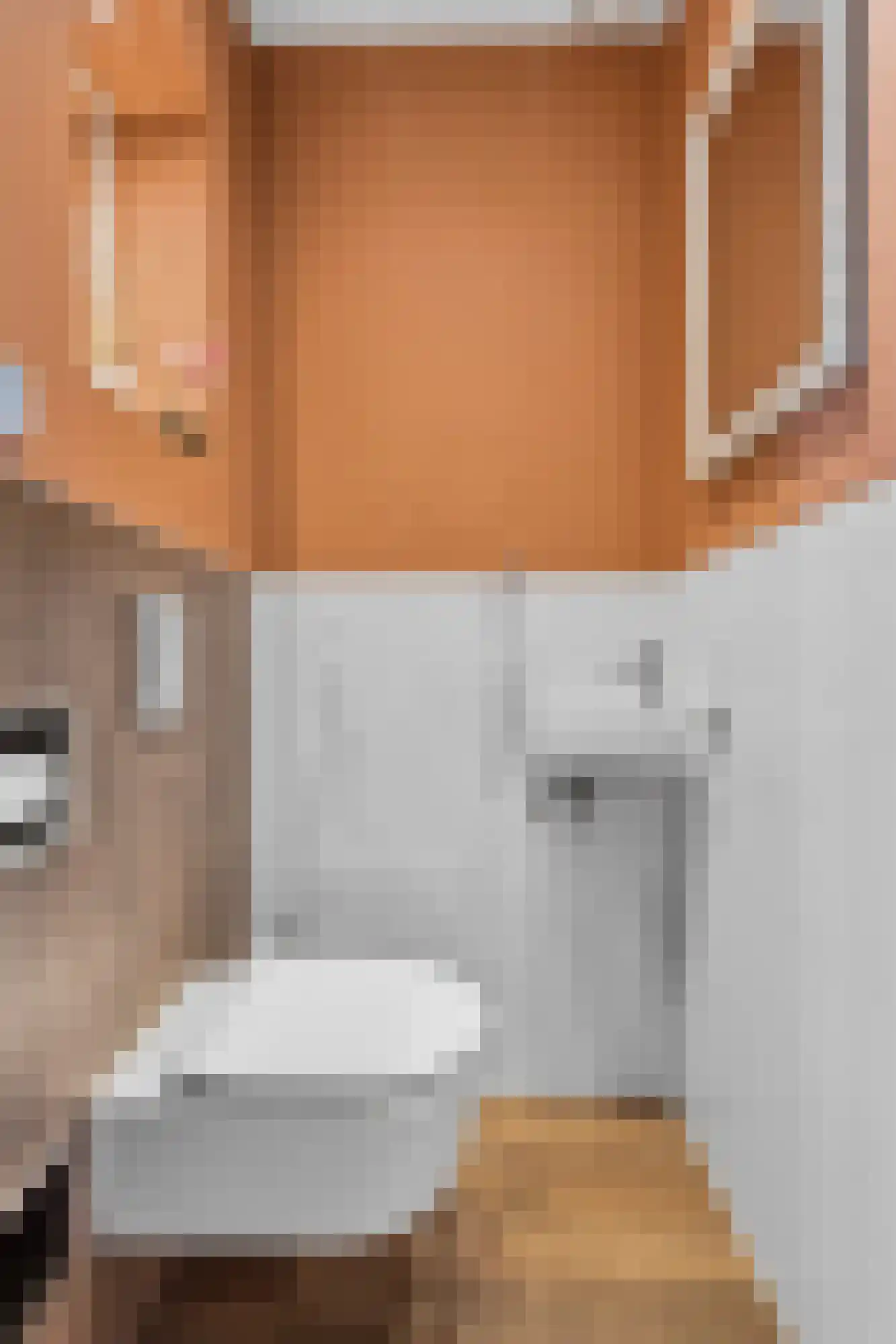 Aagje Dekenlaan 49 M Den Haag thumbnail 25