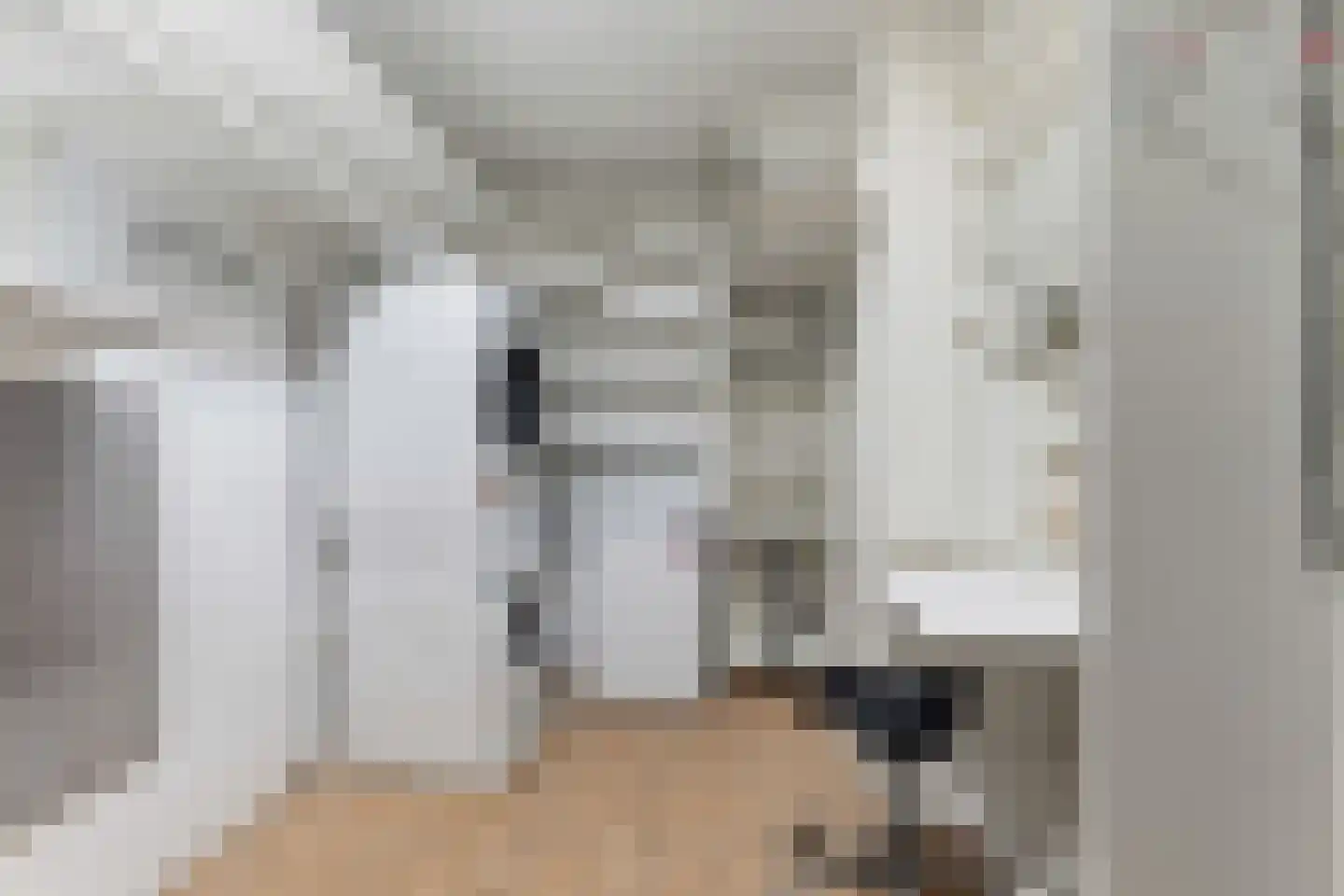 Aagje Dekenlaan 49 M Den Haag thumbnail 29
