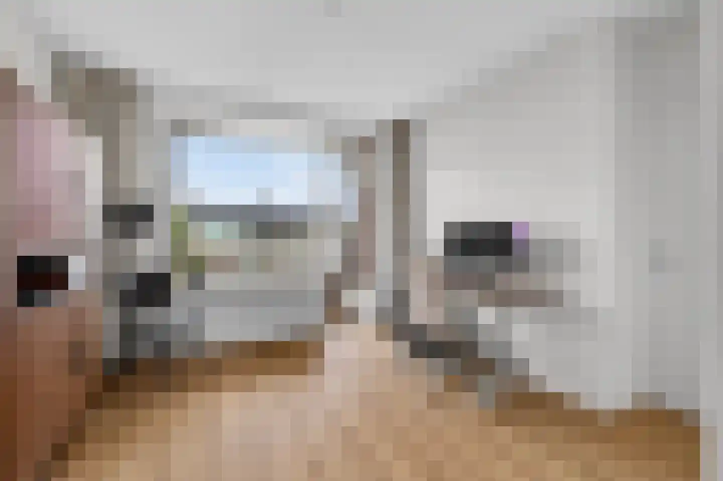 Aagje Dekenlaan 50 Bussum thumbnail 11