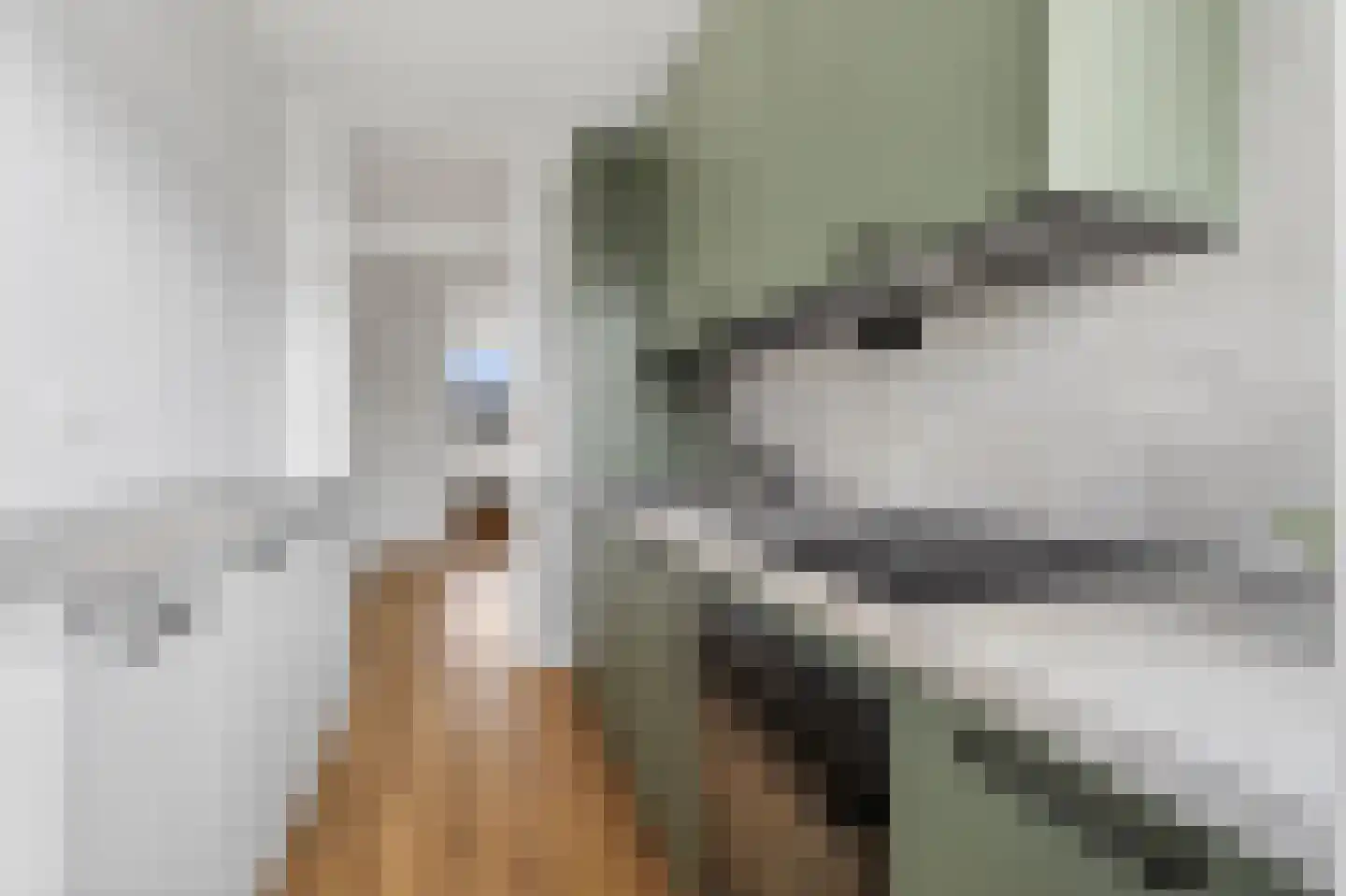 Aagje Dekenlaan 50 Bussum thumbnail 16