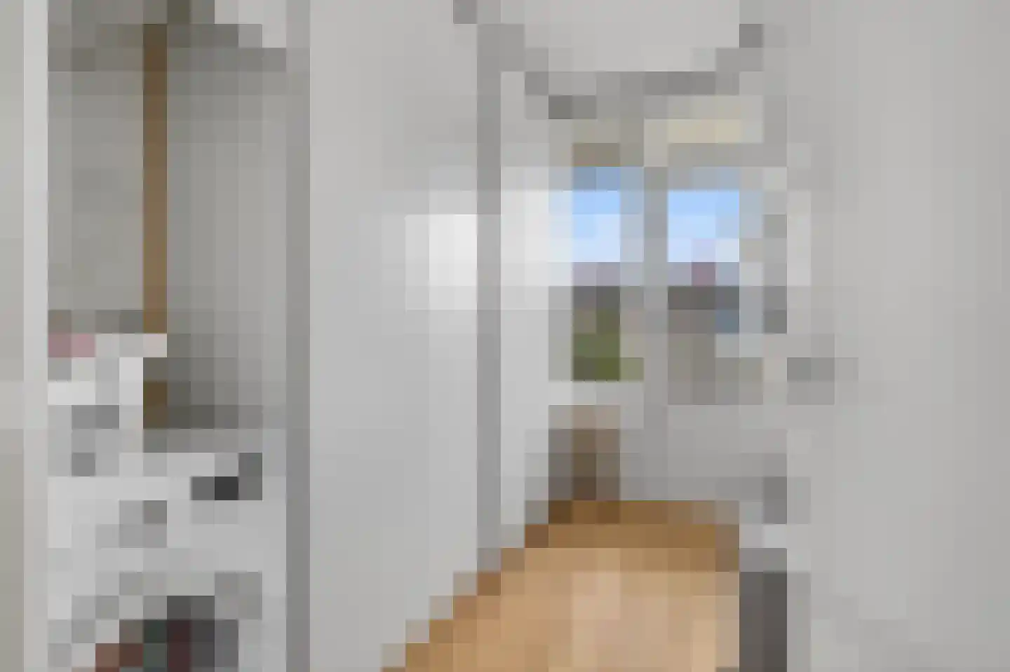 Aagje Dekenlaan 50 Bussum thumbnail 28