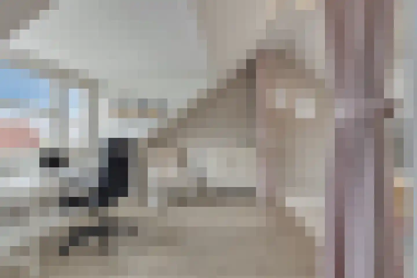 Aagje Dekenlaan 57 Amstelveen thumbnail 22