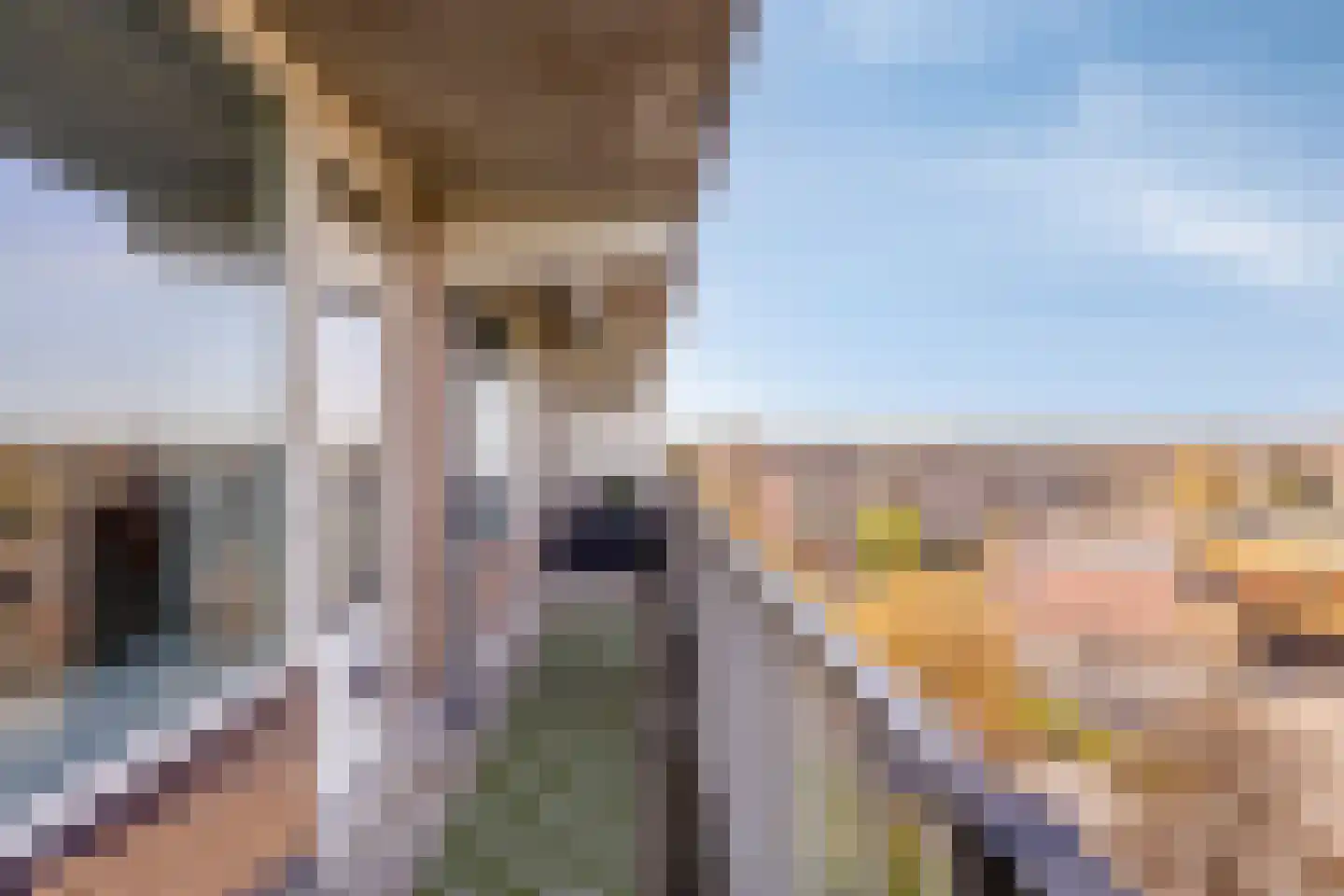 Aagje Dekenlaan 73 Bussum thumbnail 28