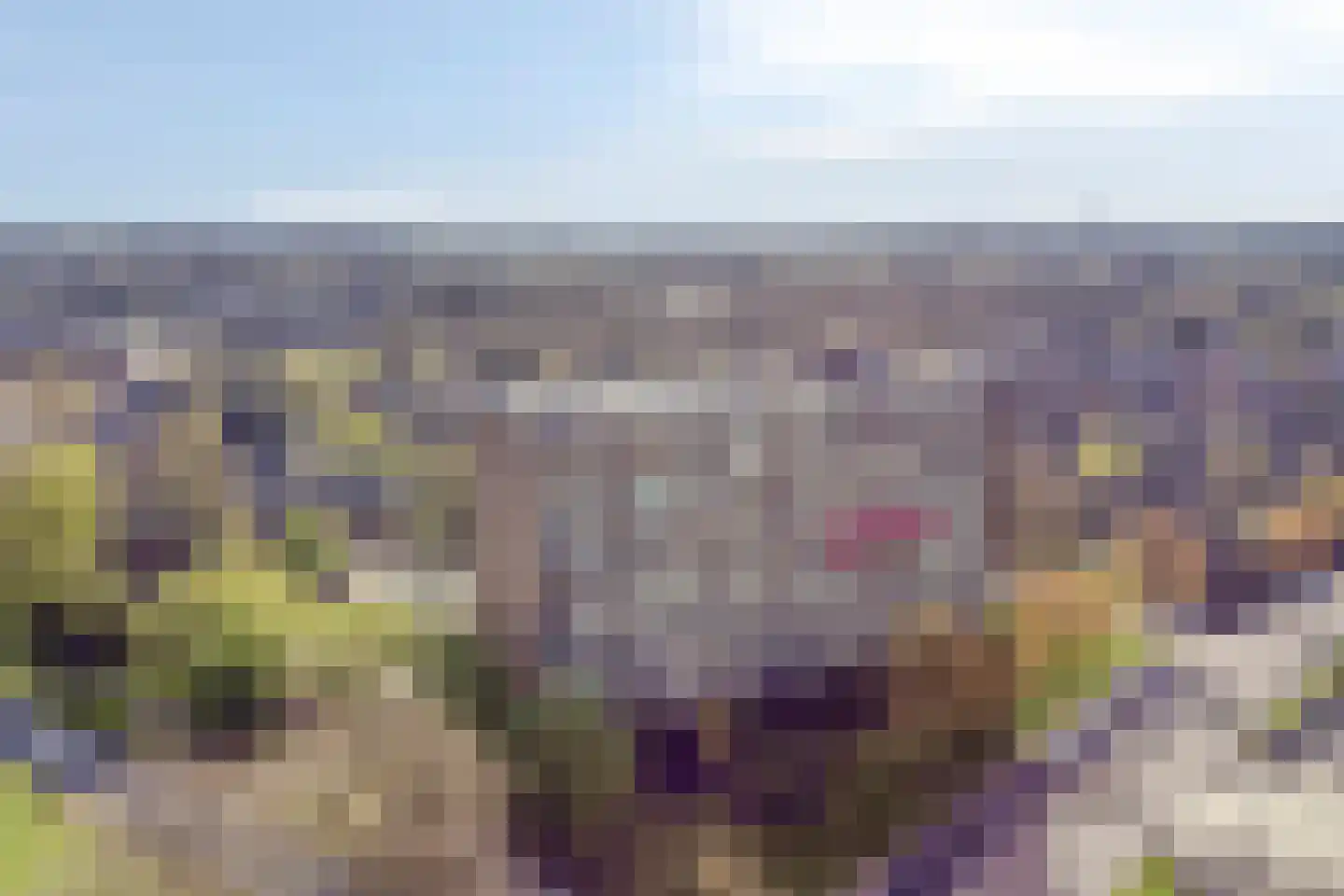 Aagje Dekenlaan 73 Bussum thumbnail 31