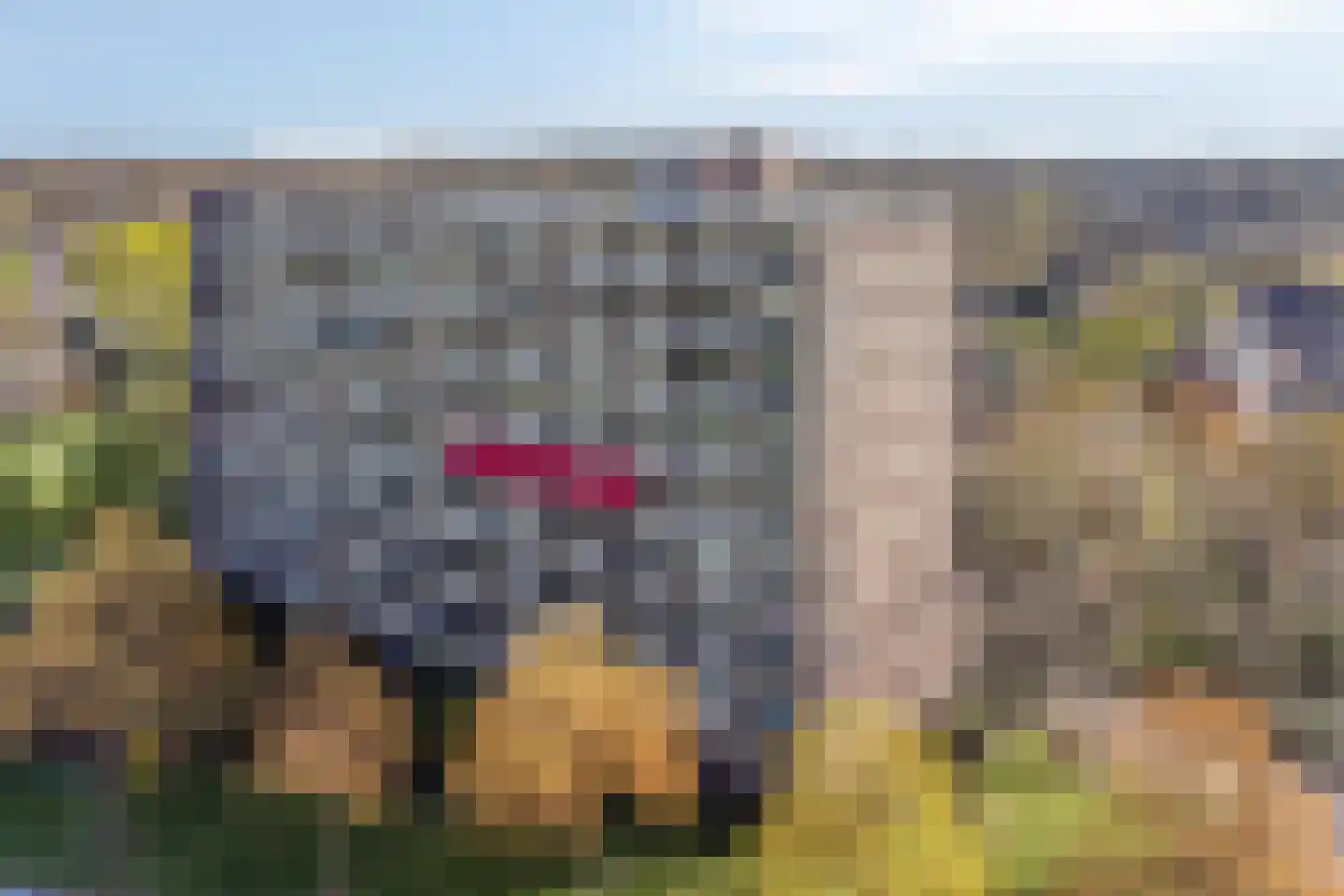 Aagje Dekenlaan 73 Bussum thumbnail 32