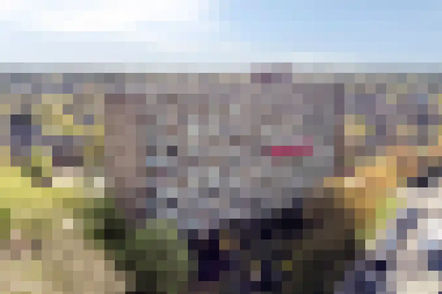 Aagje Dekenlaan 73 Bussum thumbnail 34