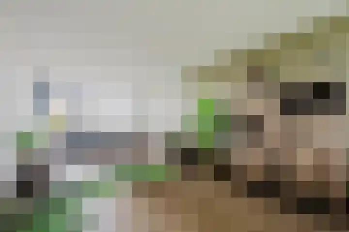 Aagje Dekenstraat 12 C Spijkenisse thumbnail 18