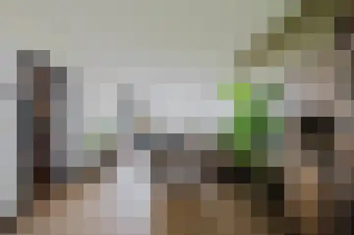 Aagje Dekenstraat 12 C Spijkenisse thumbnail 19