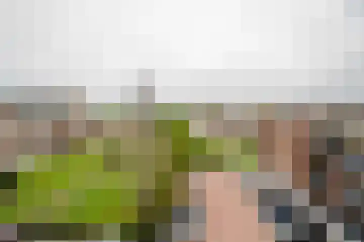 Aagje Dekenstraat 12 C Spijkenisse thumbnail 21