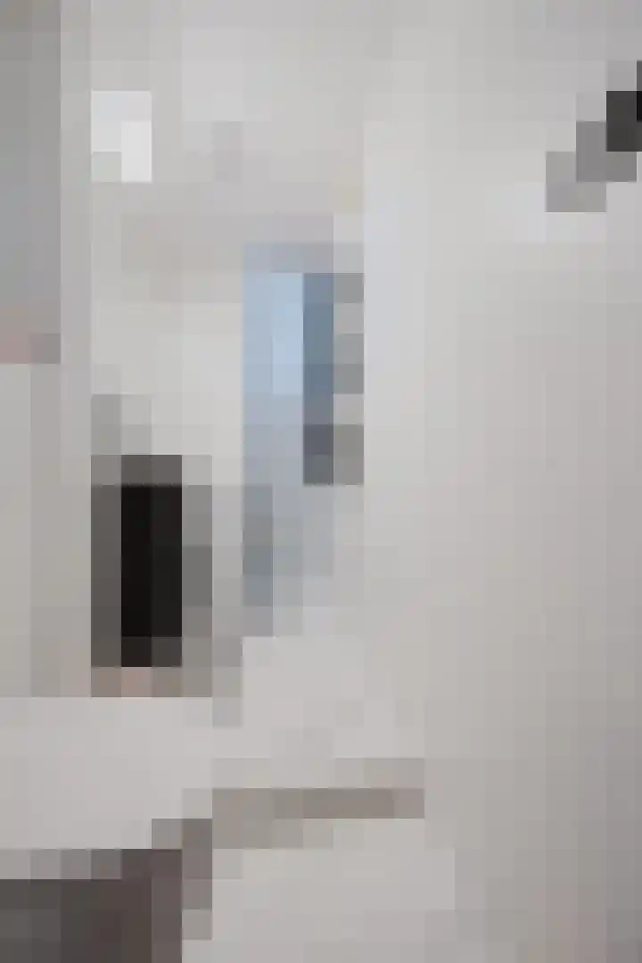 Aagje Dekenstraat 12 C Spijkenisse thumbnail 24