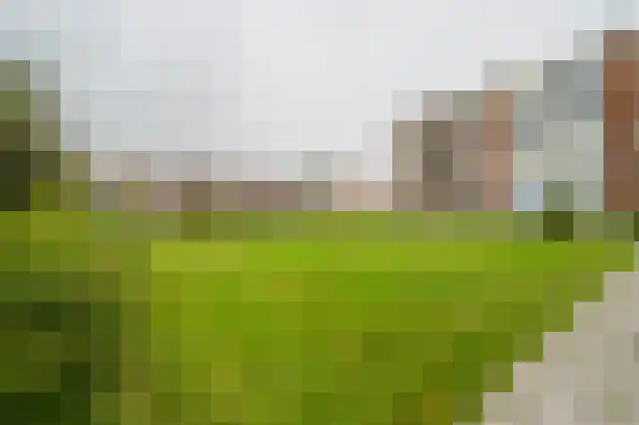 Aagje Dekenstraat 12 C Spijkenisse thumbnail 31
